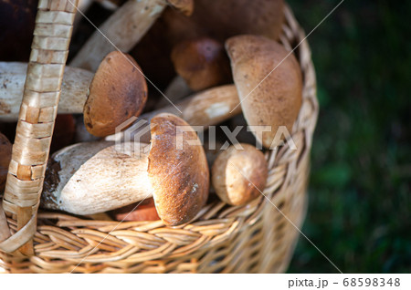 Basket with chic porcini mushrooms clous up, on a Basket with chic porcini mushrooms clous up, on a 68598348