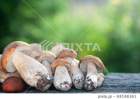 chic porcini mushrooms on the table on a natural 68598361