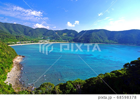 奄美大島、嘉鉄への道で 奄美大島、嘉鉄への道で 68598378