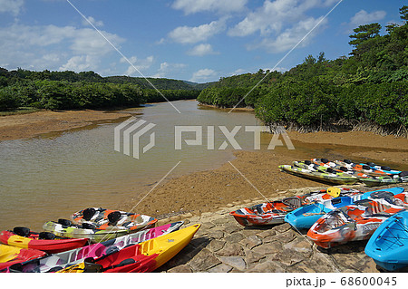 沖縄県・東村ふれあいヒルギ公園 沖縄県・東村ふれあいヒルギ公園 68600045