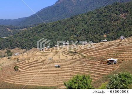 northern thailand village terraces farm northern thailand village terraces farm 68600608