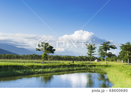 景色 風景 台湾 68600680