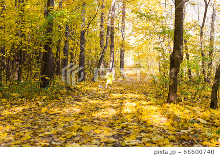 Little girl playing with her dog in autumn forest. Child and jack russell terrier dog. Little girl playing with her dog in autumn forest. Child and jack russell terrier dog. 68600740