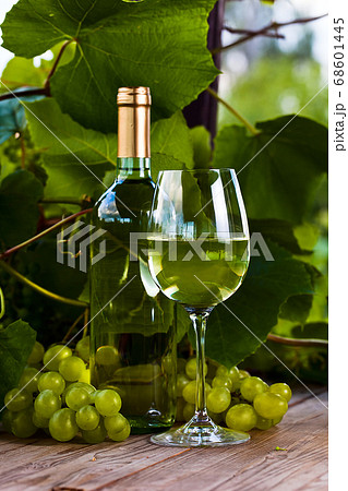 green grape and white wine in vineyard green grape and white wine in vineyard 68601445