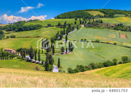 Wonderful winding rural road with cypresses in Tuscany, Italy, Europe Wonderful winding rural road with cypresses in Tuscany, Italy, Europe 68601703