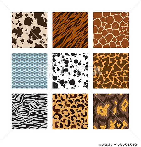animal skin pattern