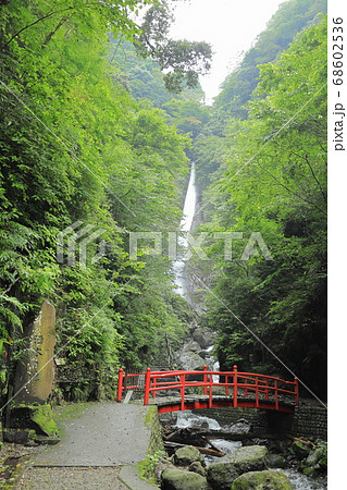 【神奈川県】洒水の滝 【神奈川県】洒水の滝 68602536