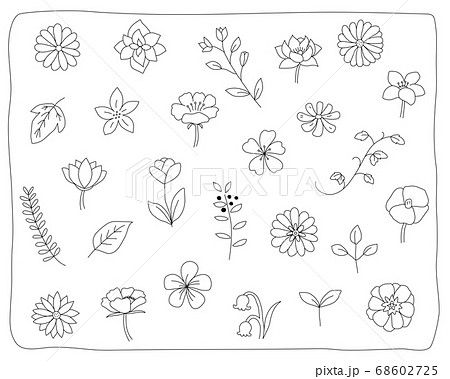 Handwritten Flower And Leaf Illustration Stock Illustration