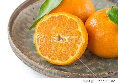 葉付き紀州産完熟ポンカン 68603102