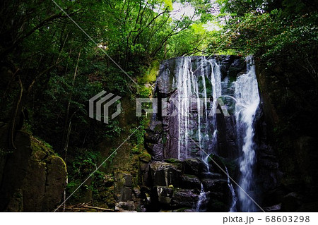 和歌山県新宮市　桑ノ木の滝 68603298