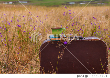Brown vintage suitcase with book, wild purple 68603591