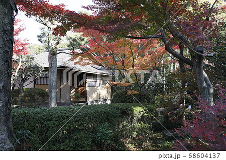 犬山有楽苑の紅葉風景　(国宝茶室如庵) 68604137