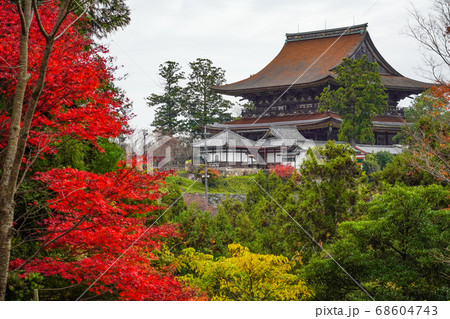 秋の吉野山 吉水神社書院中庭より金峯山寺を望む 秋の吉野山 吉水神社書院中庭より金峯山寺を望む 68604743