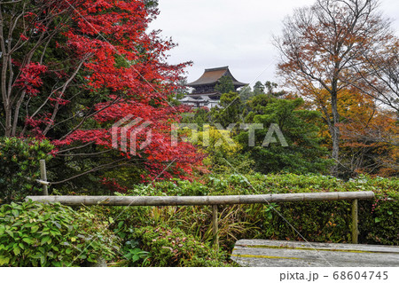 秋の吉野山　吉水神社書院中庭より金峯山寺を望む 68604745
