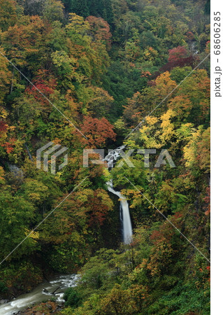 紅葉の落ち口の滝 68606285