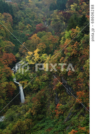 紅葉の落ち口の滝 紅葉の落ち口の滝 68606288