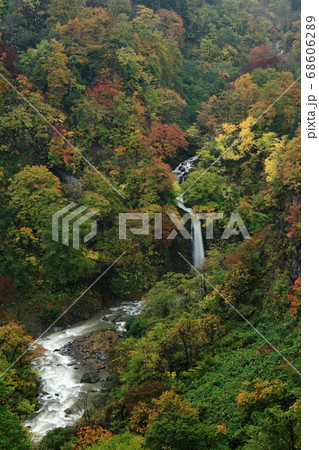 紅葉の落ち口の滝 68606289