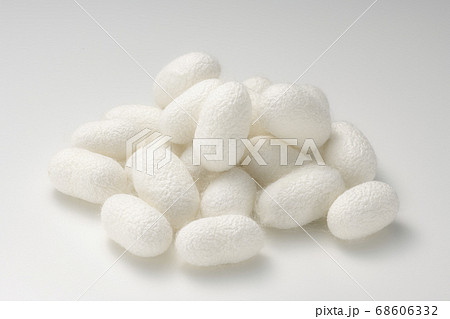 たくさんの繭玉 白バック 68606332