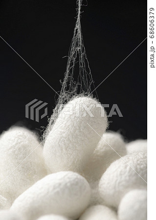 黒い背景に白い繭玉のアップ 68606379