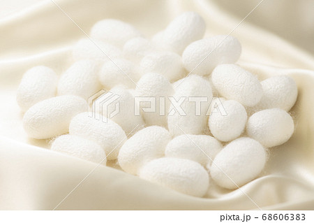 繭玉とシルクの背景 68606383