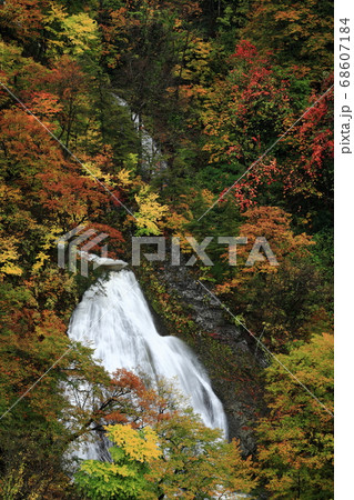 紅葉の七ツ滝 紅葉の七ツ滝 68607184