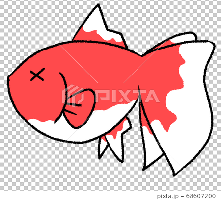 Unwell goldfish Unwell goldfish 68607200
