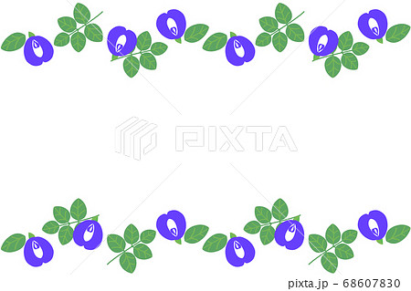 バタフライピーのフレーム 長方形のイラスト素材