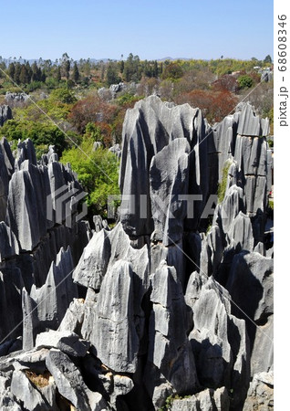 中国の世界遺産・石林 World Heritage, Stone Forest, Yunnan 中国の世界遺産・石林 World Heritage, Stone Forest, Yunnan 68608346