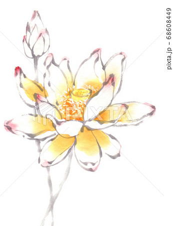 蓮花のイラスト素材