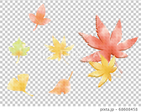 紅葉　水彩　手描き　素材 68608458