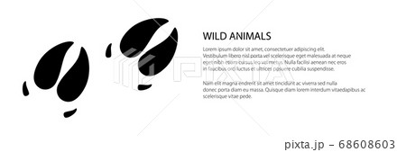 Banner of traces of animal boar Banner of traces of animal boar 68608603