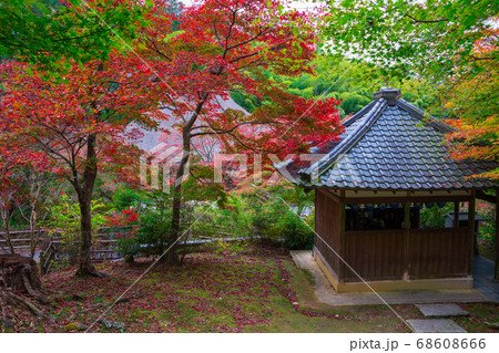 京都 直指庵 じきしあん の紅葉の写真素材