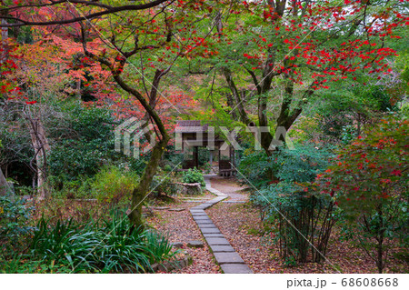 京都 直指庵 じきしあん の紅葉の写真素材