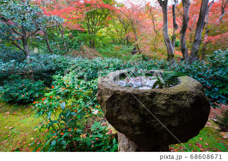 京都　直指庵（じきしあん）の紅葉 68608671