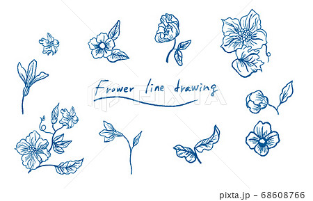 Hand painted plant line drawing background materia Hand painted plant line drawing background materia 68608766