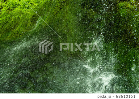 苔むしる滝 不易の滝 苔むしる滝 不易の滝 68610151