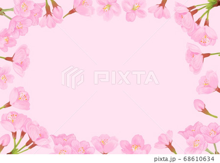 桜の花のフレームの背景イラスト ピンク のイラスト素材