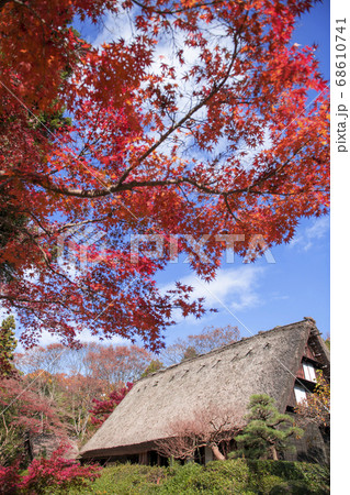 秋イメージ 秋イメージ 68610741