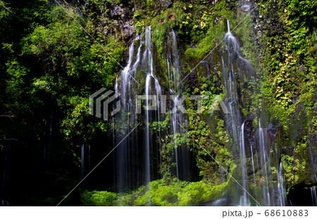 苔むしる滝　　不易の滝 68610883