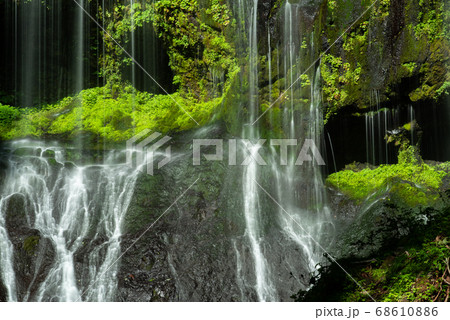 苔むしる滝 不易の滝 苔むしる滝 不易の滝 68610886