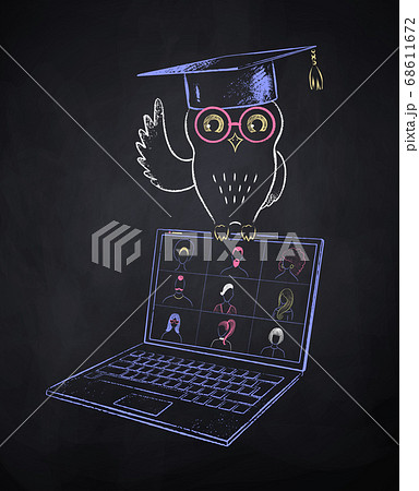 Owl in mortarboard sitting on laptop 68611672