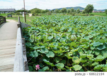 【続日本100名城】備中高松城跡 本丸から見た二の丸と三の丸 岡山県岡山市北区 【続日本100名城】備中高松城跡 本丸から見た二の丸と三の丸 岡山県岡山市北区 68612194