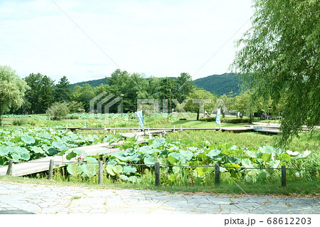 【続日本100名城】備中高松城跡　二の丸から眺める本丸　岡山県岡山市北区 68612203