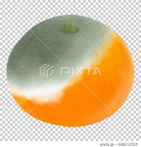 Rotten tangerines 68612283