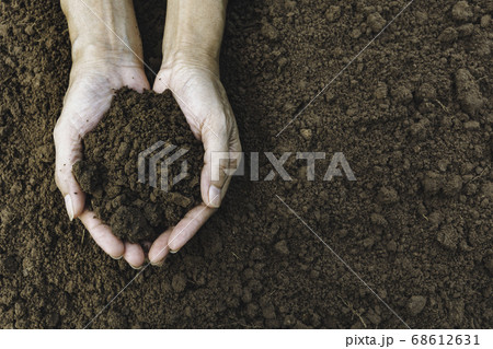 Hand of male holding soil in the hands for 68612631