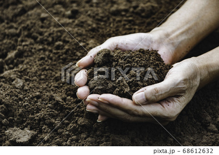 Hand of male holding soil in the hands for Hand of male holding soil in the hands for 68612632