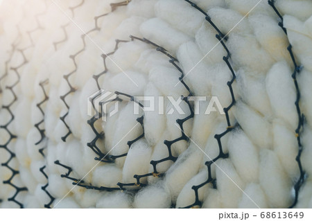 Close up to natural white silkworm cocoon shell in black plastic weave tray. Silkworm cocoon background. Close up to natural white silkworm cocoon shell in black plastic weave tray. Silkworm cocoon background. 68613649