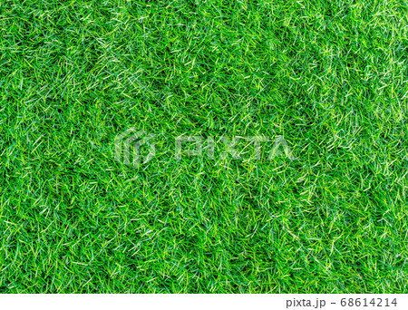 Pattern of green grass texture Pattern of green grass texture 68614214