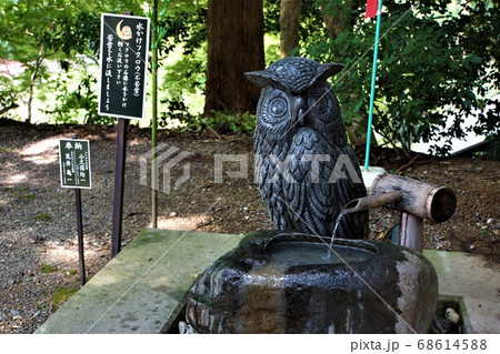 栃木と茨城の県境にある 鷲子山上神社 幸福を呼ぶ ふくろう の強大なパワースポットの写真素材