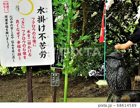 栃木と茨城の県境にある『鷲子山上神社』～幸福を呼ぶ『ふくろう』の強大なパワースポット(2) 68614589